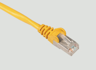 ��ǿ��������������