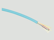 10G��ģ����